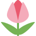 🌷 郁金香表情符号的含义