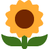 🌻 向日葵表情符号的含义