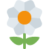 🌼 开花表情符号的含义