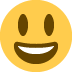 😃 大眼睛笑脸表情符号的含义