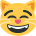 😸 微笑的猫，微笑的眼睛表情符号的含义