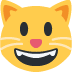 😺 咧着嘴笑的猫表情符号的含义